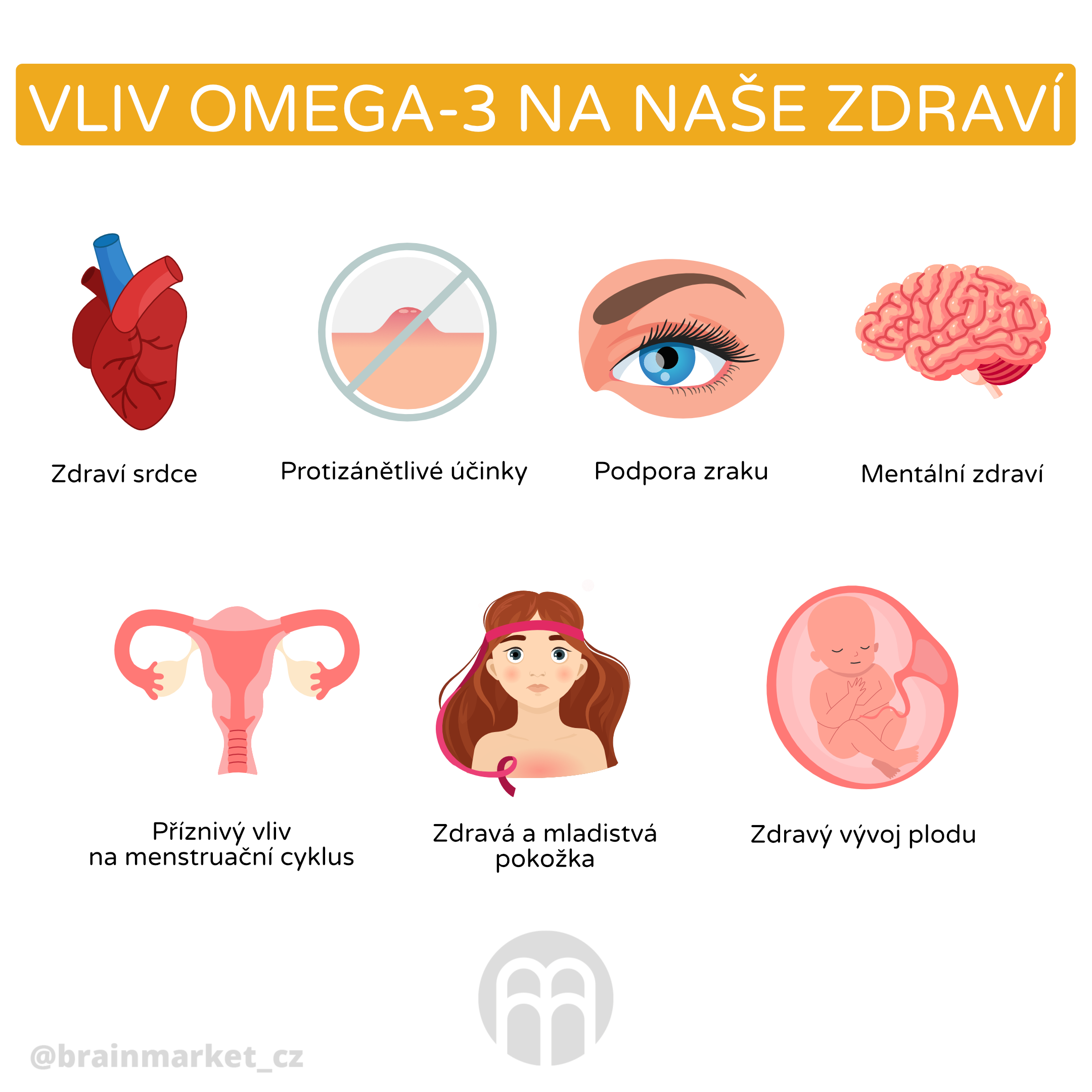 vliv omega-3 na nase zdvavi_infografika_cz